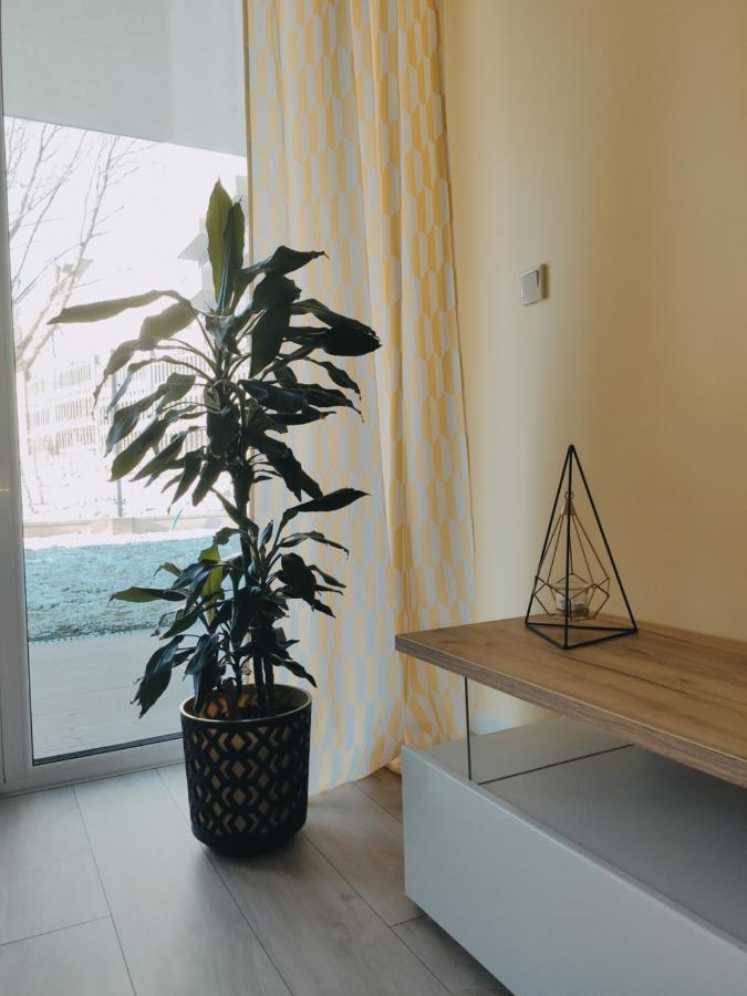 Przytulny Apartament Z Ogrodkiem Krakow Exterior photo
